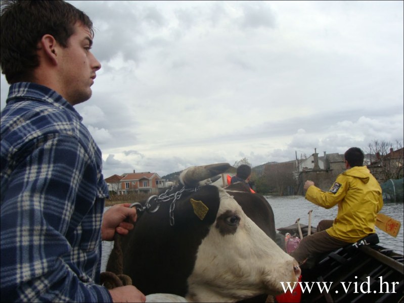 Poplava_Metkovic (42)
